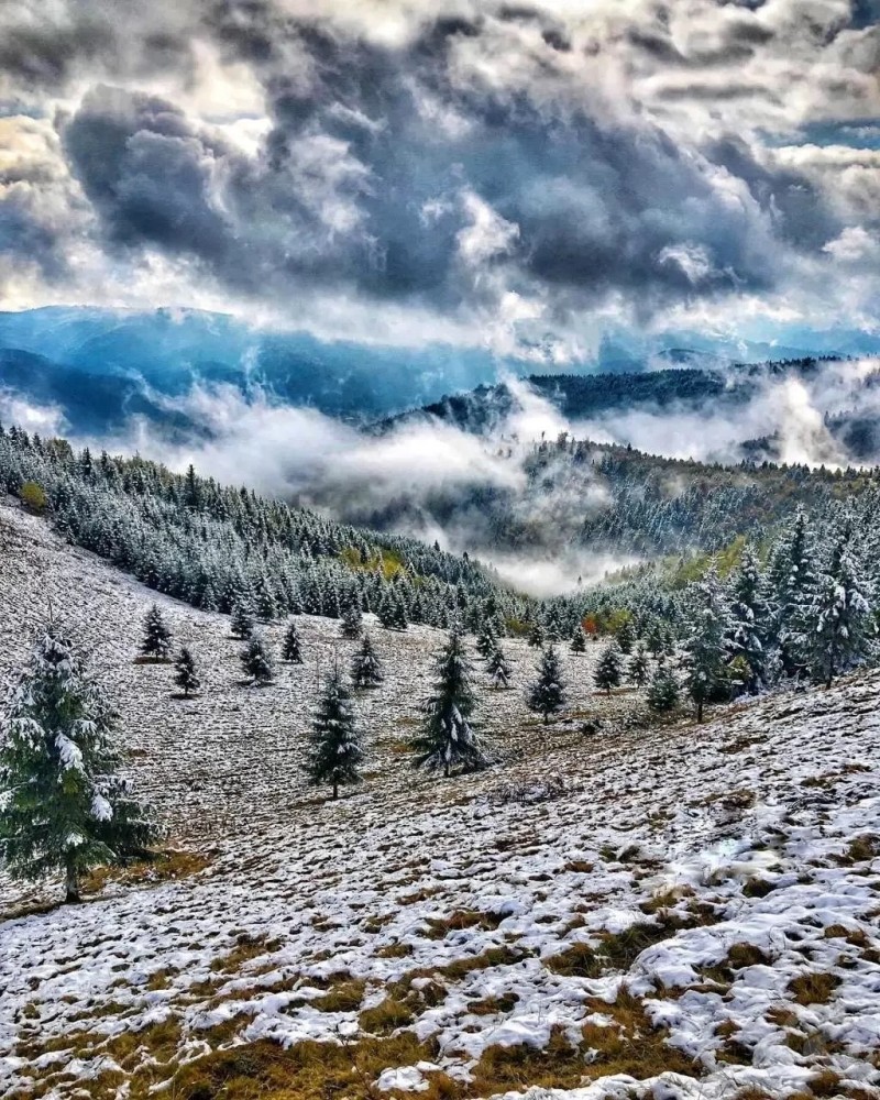 Lunca de Jos 1381 thumb