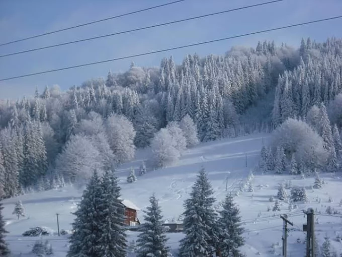 Comandău 1209 thumb