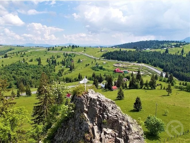 Colibița 1353 thumb