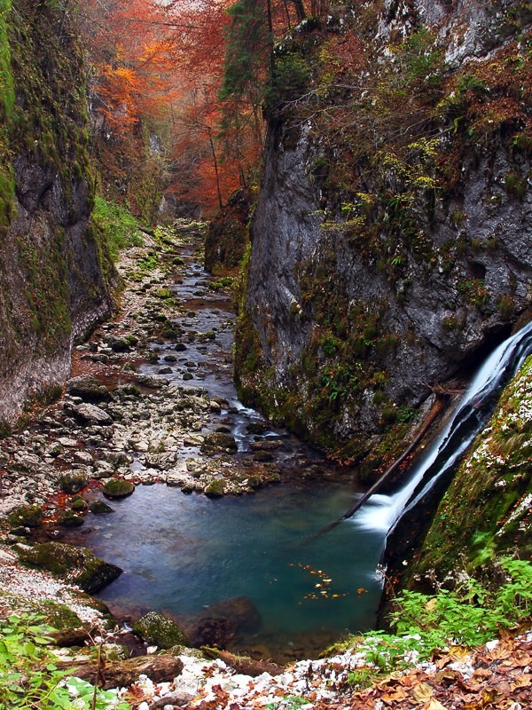 Stâna de Vale 1328 thumb