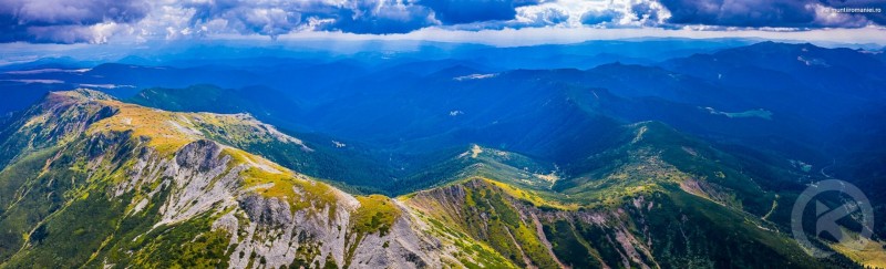 Colibița 1347 thumb