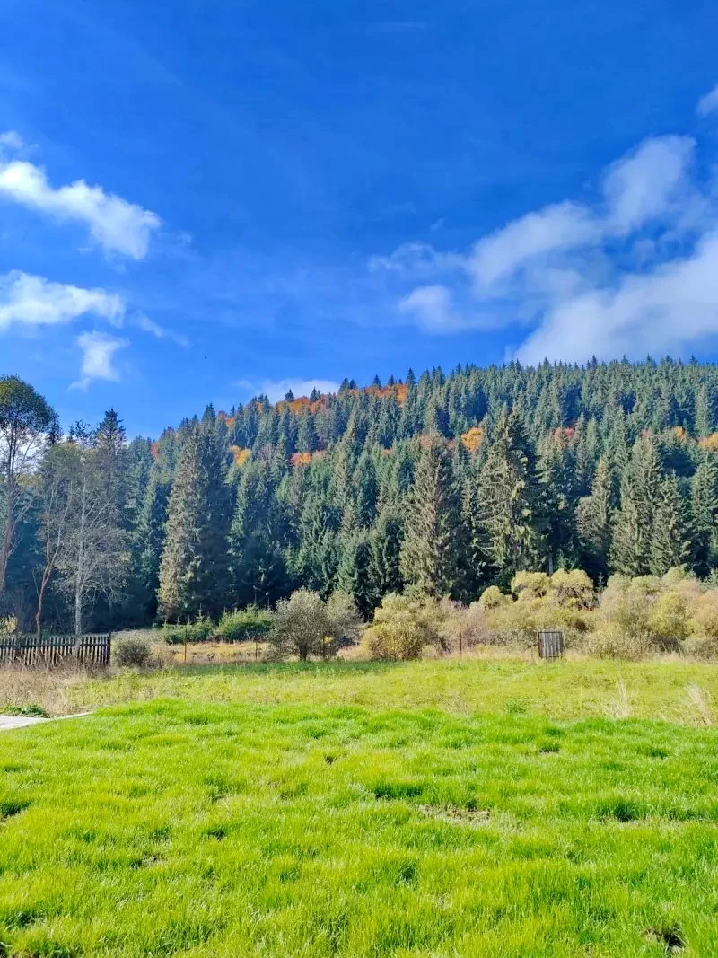 Comandău 1214 thumb