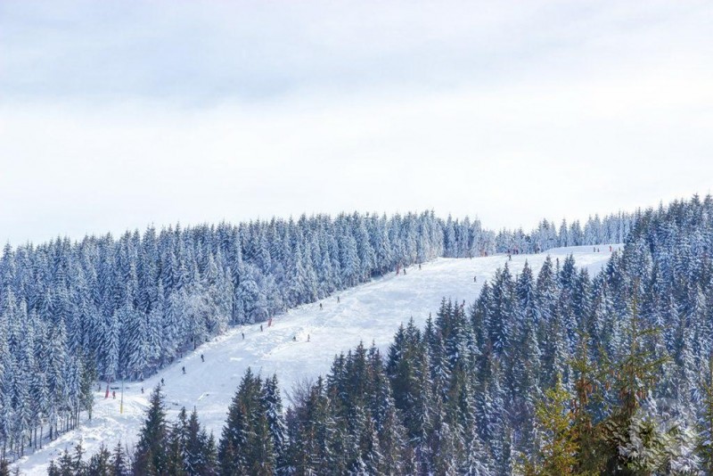 Arieșeni 1180 thumb