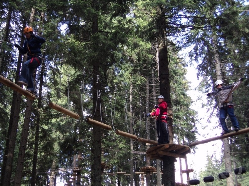 Căpâlnița 1026 thumb