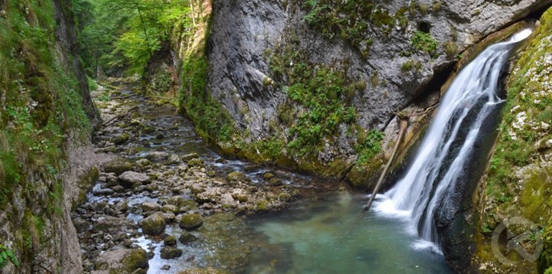 Arieșeni 1170 thumb