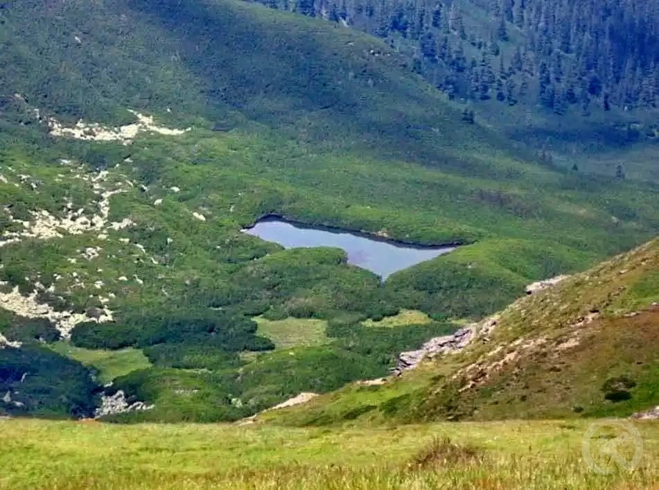 Gura Râului 1224 thumb