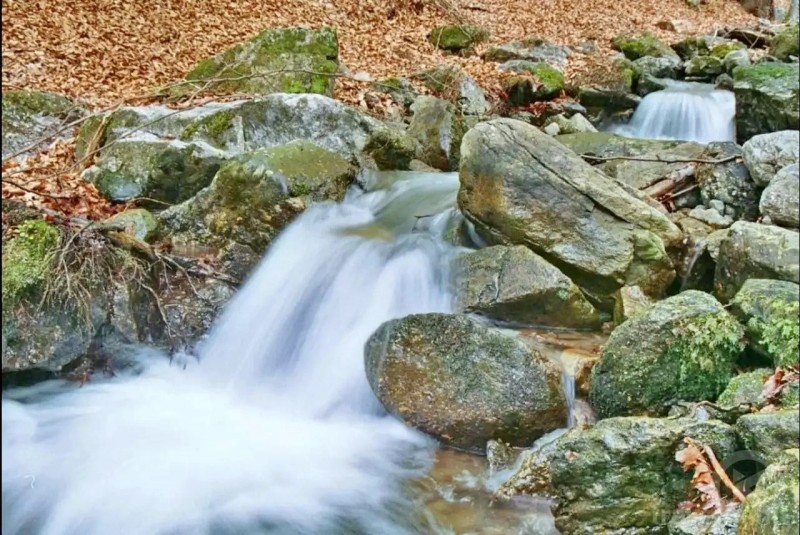 Lunca de Jos 1380 thumb