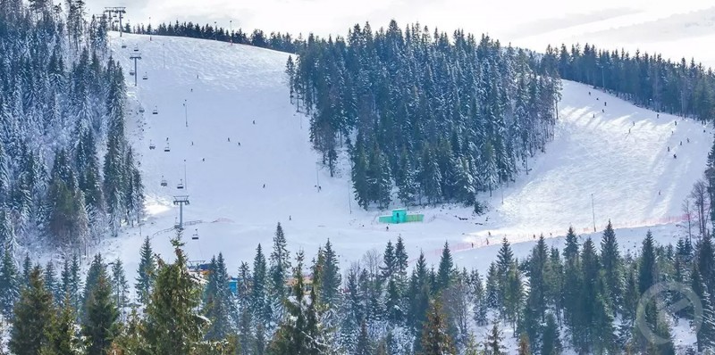 Arieșeni 1175 thumb