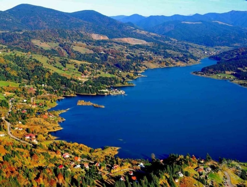 Colibița 1343 thumb