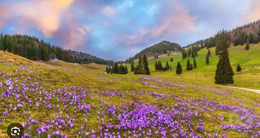 Stâna de Vale 1341 thumb