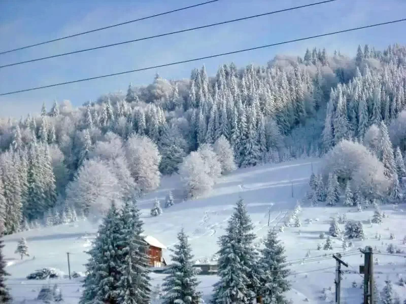 Comandău 1206 thumb