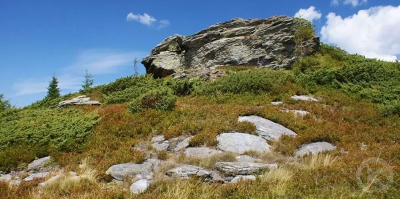 Arieșeni 1169 thumb