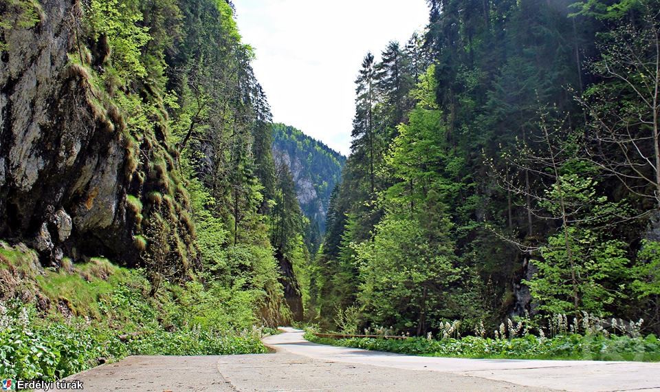 Gârda de Sus 1464 thumb