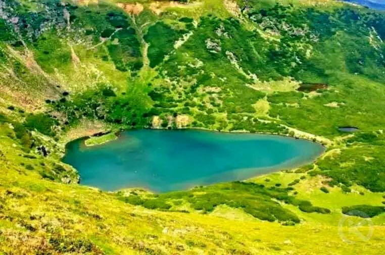 Gura Râului 1226 thumb