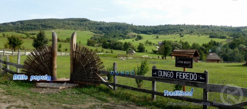 Crăciunel 550 thumb