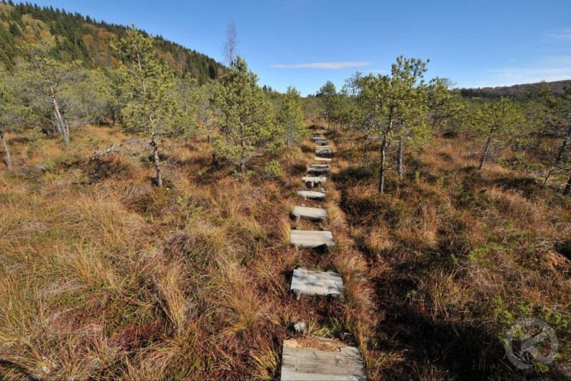 Băile Tușnad 417 thumb