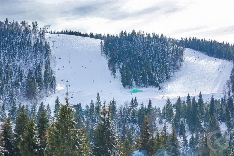 Arieșeni 1179 thumb