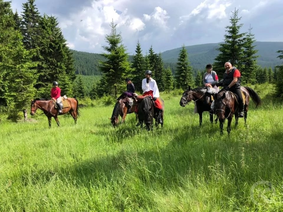 Băile Homorod 544 thumb