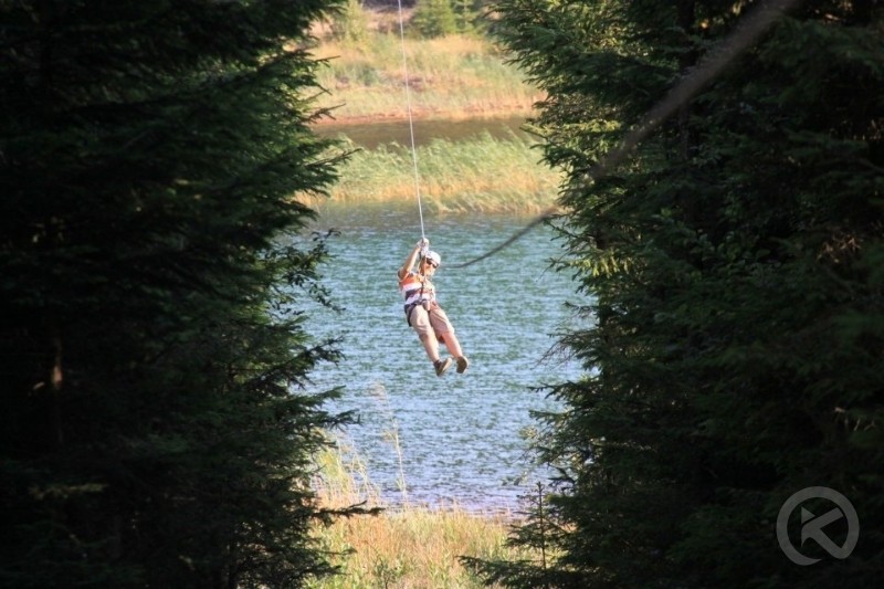 Căpâlnița 1025 thumb