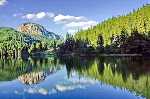 Lacu Roșu 1637 thumb