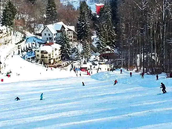 Comandău 1207 thumb