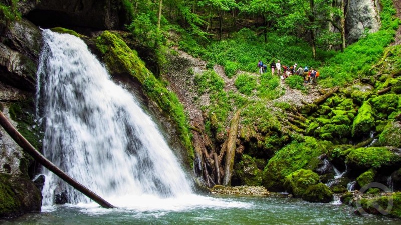 Stâna de Vale 1329 thumb