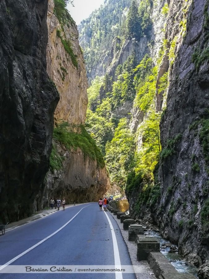 Izvoru Mureșului 810 thumb