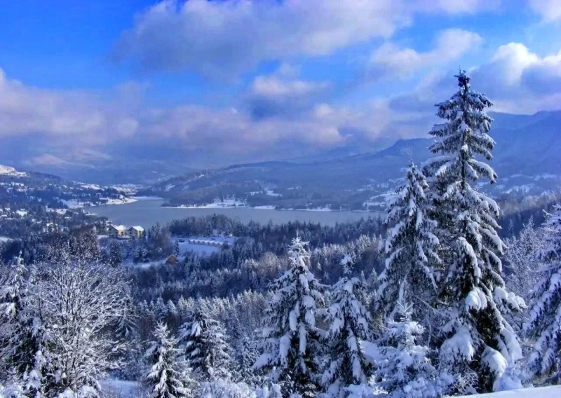 Colibița 1349 thumb