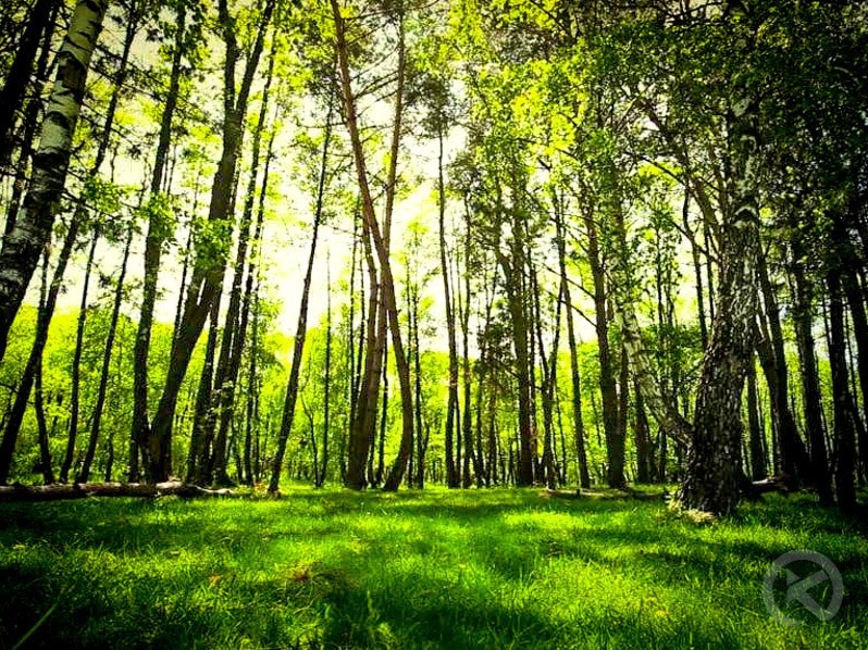 Sfântu Gheorghe 1415 thumb