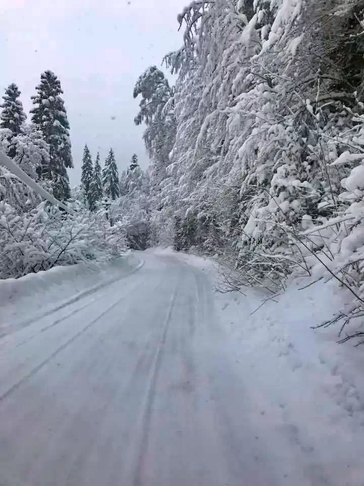 Comandău 1205 thumb