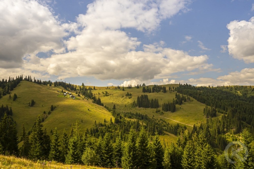 Lunca de Jos 1386 thumb