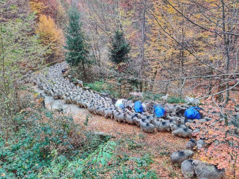 Băile Olănești 982 thumb