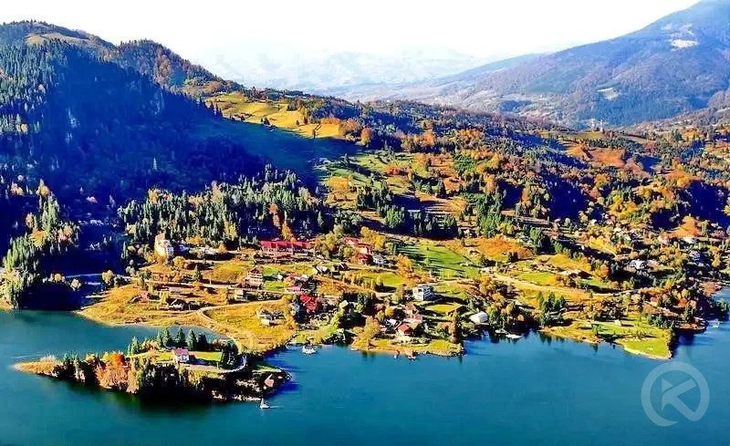 Colibița 1345 thumb