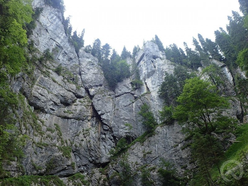 Valea Boga 757 thumb